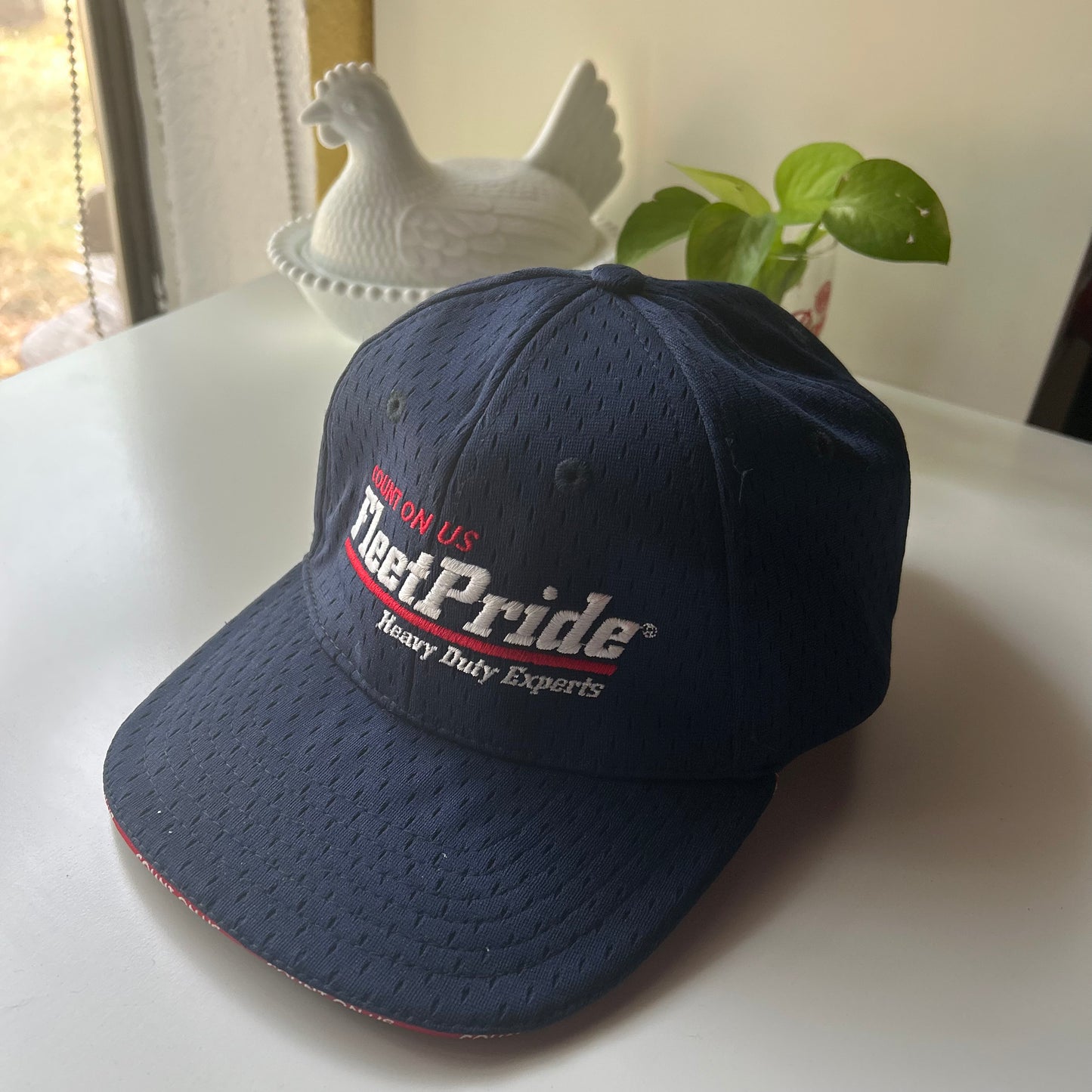 Fleet Pride (Navy)